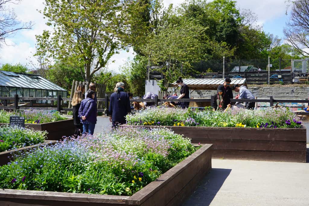 Crystal Palace Park Capel Manor College