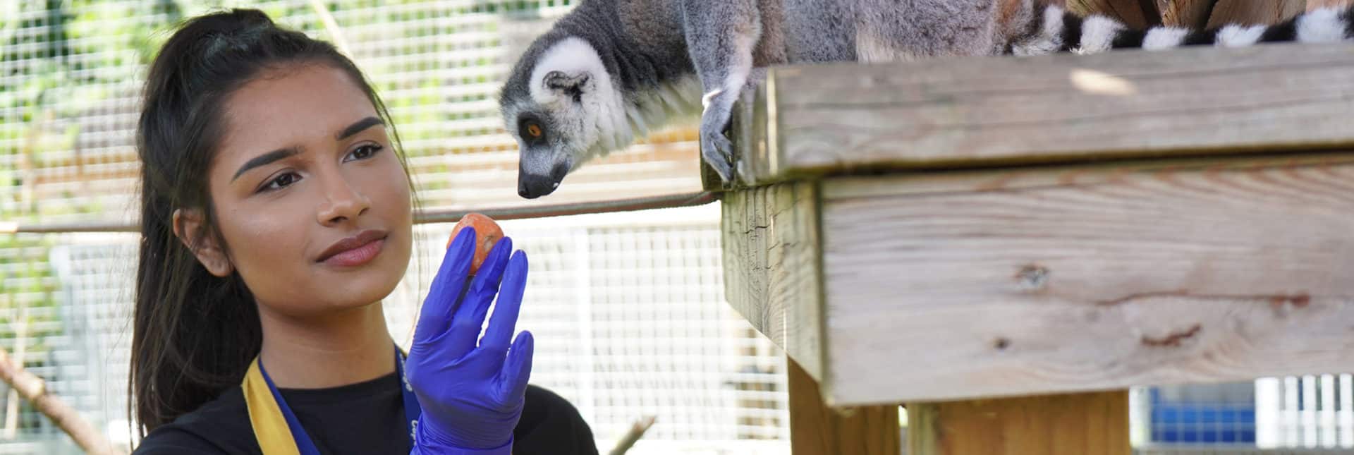Courses in Animal Care