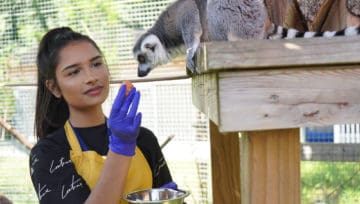 Courses in Animal Care