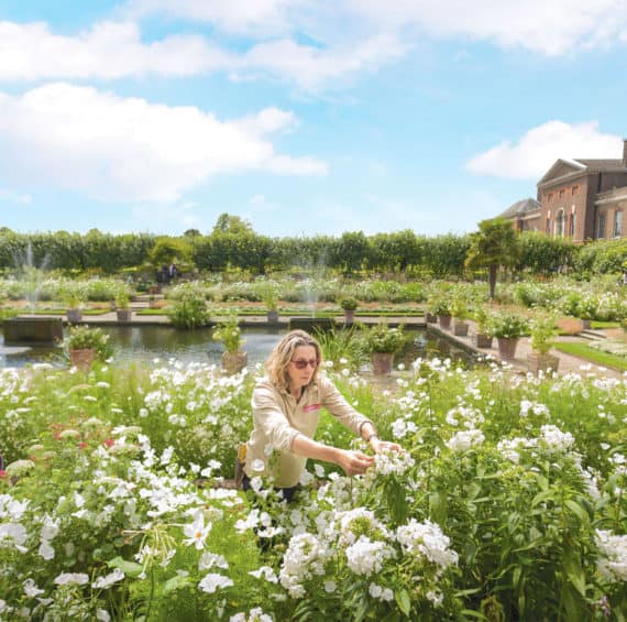 Apprenticeship at Kew Gardens