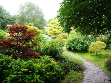 The Japanese Garden at Capel Manor College's Enfield Campus - an example of a landscape RHS Level 2 practical horticulture students will be working with and studying.