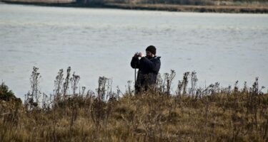 Conservation work in woodland and by lake