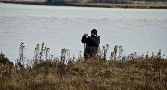 Conservation work in woodland and by lake