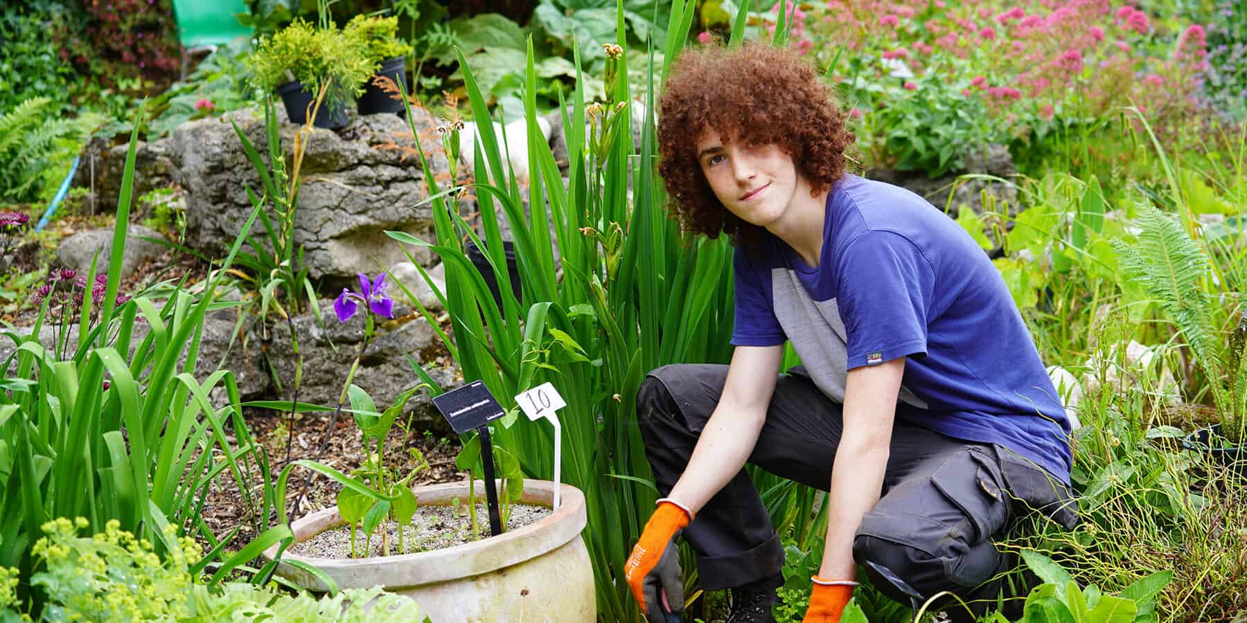 Young man gardening