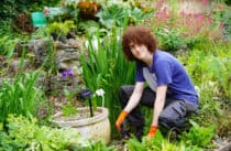 Young man gardening
