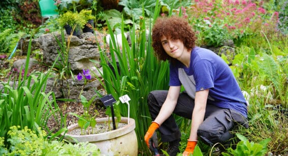 Young man gardening