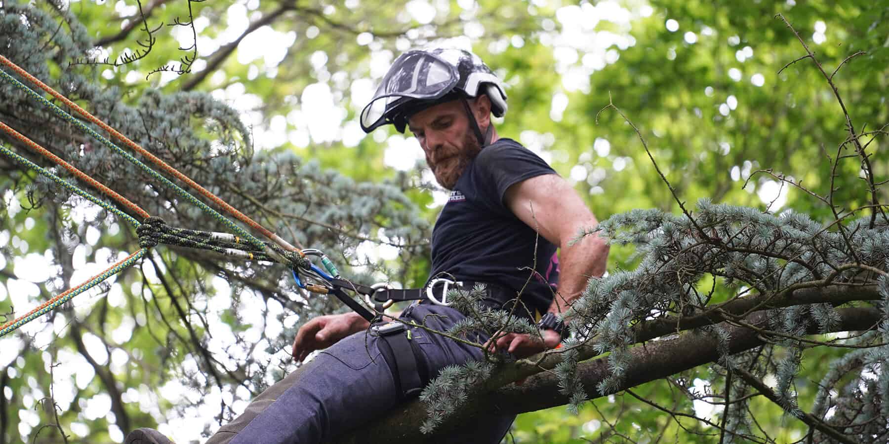 Adult arboriculture student