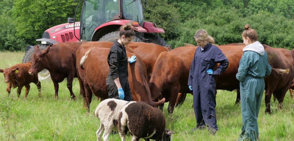 Ag-Agriculture-Farming-Intermediate-Diploma-Level-2r