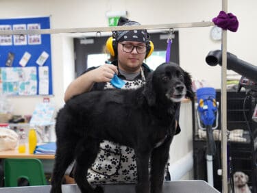 Male student of dog grooming with dog at Capel Manor College