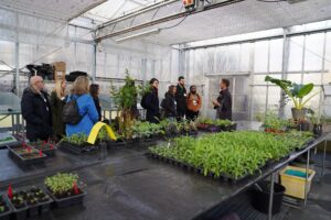 Guests witnessing a lesson in the polytunnels.