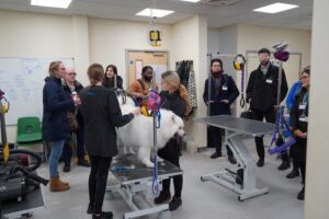 Dog grooming parlour demonstration