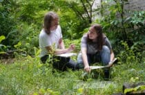 Wildlife and Environmental Conservation Intermediate Diploma (Level 2)