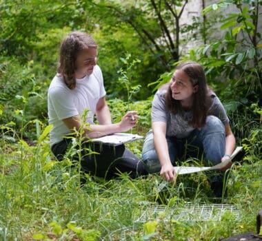 Wildlife and Environmental Conservation Intermediate Diploma (Level 2)