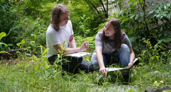 Wildlife and Environmental Conservation Intermediate Diploma (Level 2)