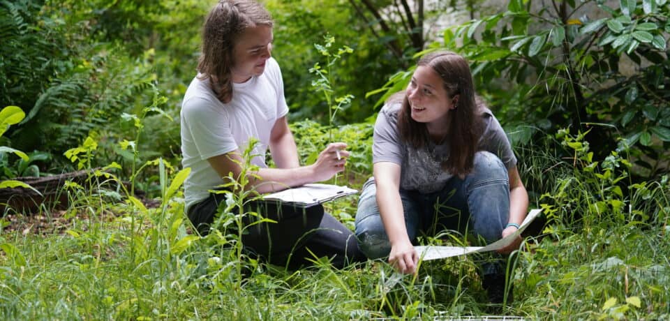 Wildlife and Environmental Conservation Intermediate Diploma (Level 2)