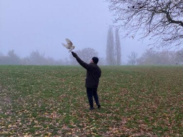 Henrique Success Story Higher Education Animal Management