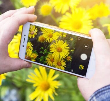 Introduction to Smartphone Photography Workshop