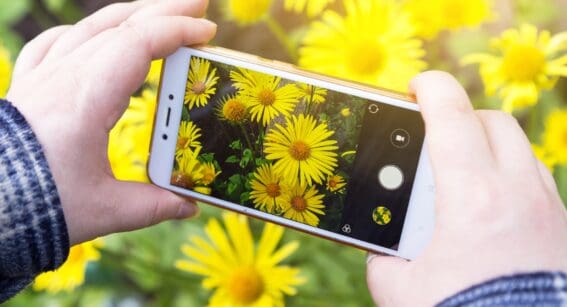 Introduction to Smartphone Photography Workshop