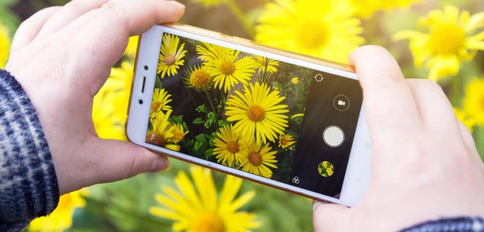 Introduction to Smartphone Photography Workshop