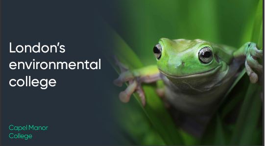 Interactive Presentation For Schools