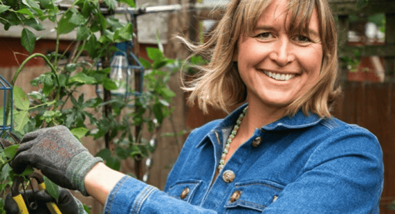 Veronica_The_Sun_Horticulture_Garden_Design