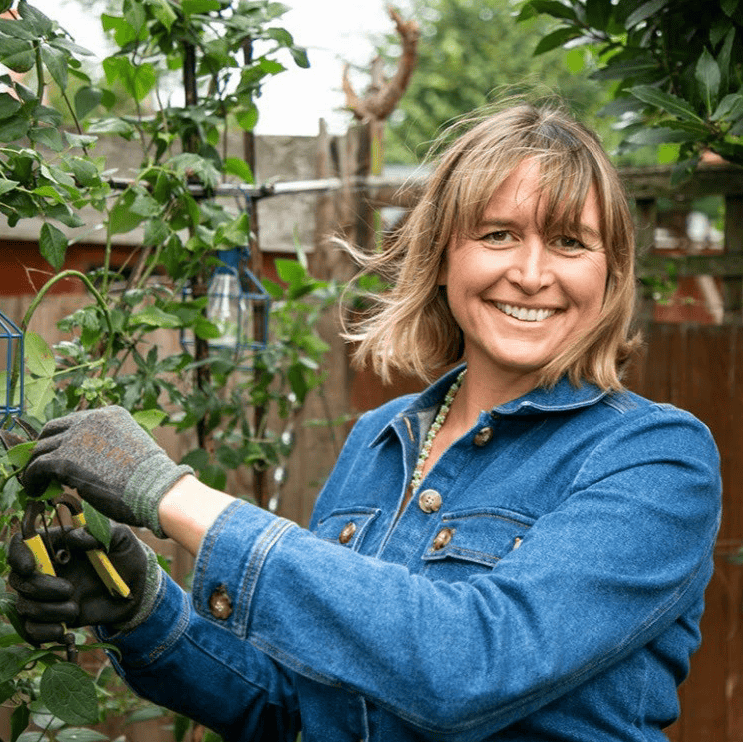 Veronica_The_Sun_Horticulture_Garden_Design
