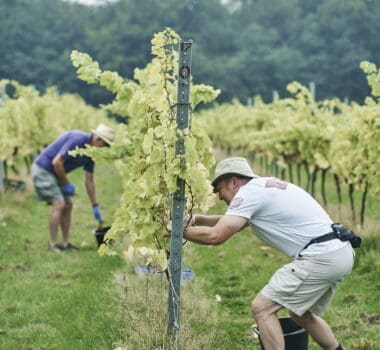 Credit: Pablo Antonli