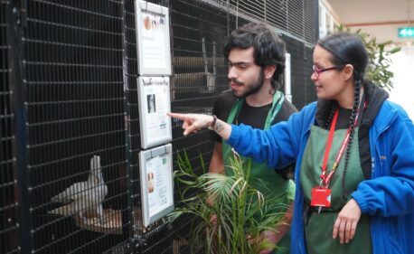 Student with SEND being helped by staff