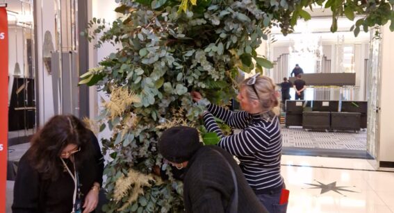 Floristry students at Capel Manor College install floral arch at Claridges Hotel