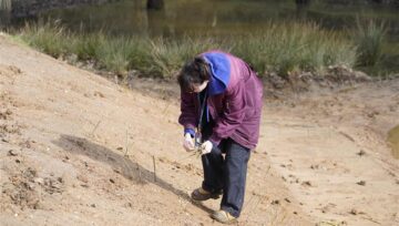 Students and vlounteers plant tree saplings at our Enfield beaver enclosure