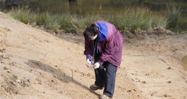 Students and vlounteers plant tree saplings at our Enfield beaver enclosure