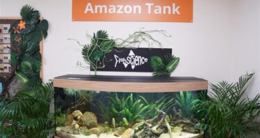 Fishscience sponsored Amazon Tank at Capel Manor College, Enfield