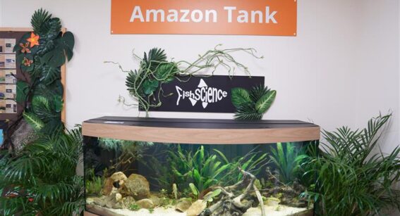 Fishscience sponsored Amazon Tank at Capel Manor College, Enfield