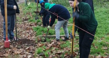 Students and Staff build fencing at Gunnersbury Park