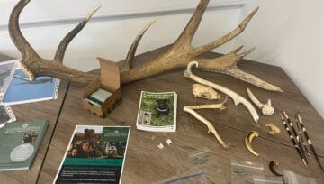 TOP conservation display field examples