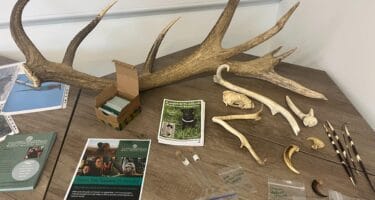 TOP conservation display field examples