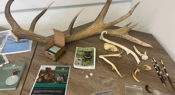 TOP conservation display field examples