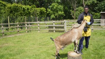 T Level Animal Management Demonstration