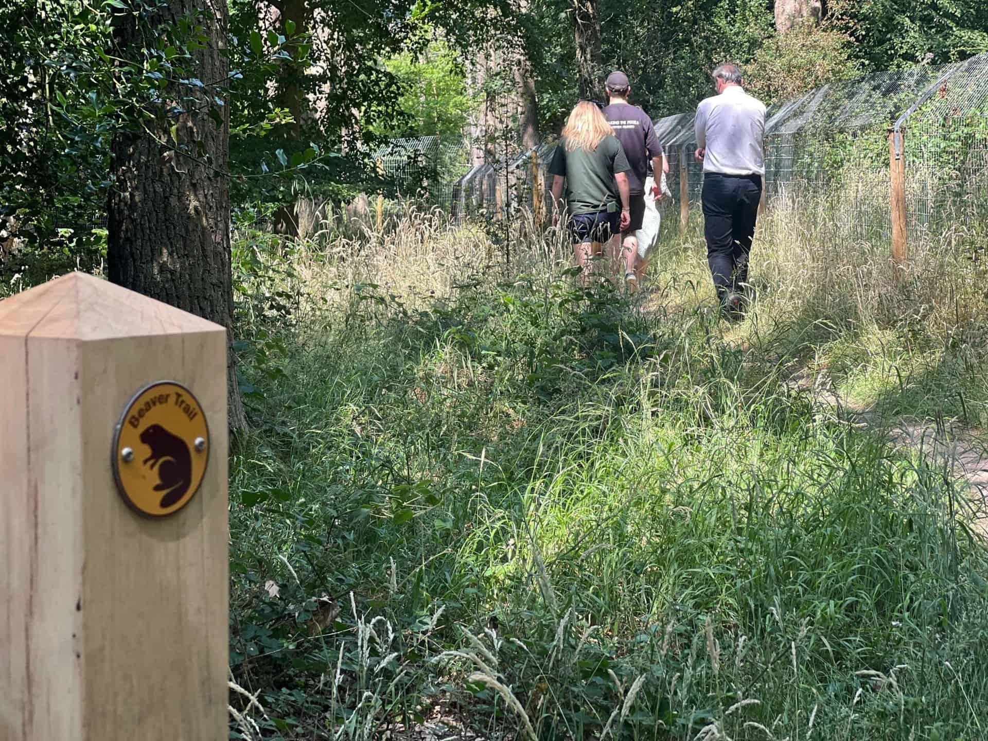 Beaver Family Thriving as New Enclosure Tours Launch at Forty Hall Farm ...