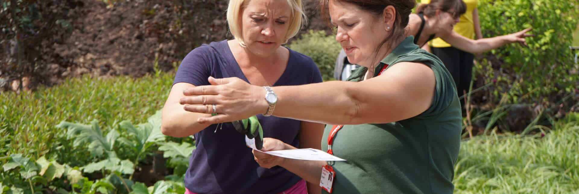 Two ladies standing in the garden looking at a piece of paper