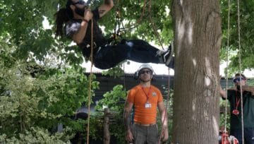 Tree climbing demonstrations at Capel Manor College's Open Day