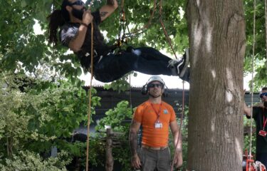 Tree climbing demonstrations at Capel Manor College's Open Day
