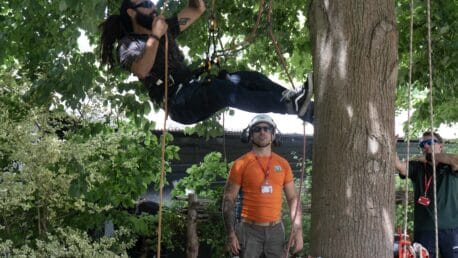 Tree climbing demonstrations at Capel Manor College's Open Day