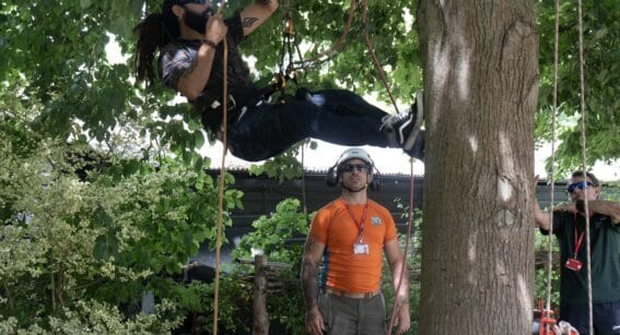 Tree climbing demonstrations at Capel Manor College's Open Day