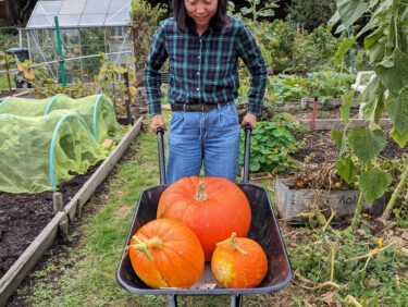 Capel Manor College horticulture and garden design success story student with a wheelbarrow full of pumpkins.