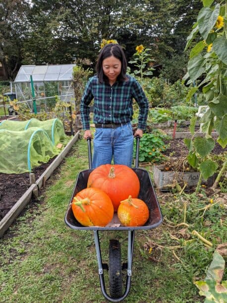 Capel Manor College horticulture and garden design success story student with a wheelbarrow full of pumpkins.