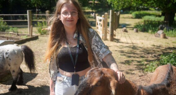 Image of Capel Manor College success story animal management student at Crystal Palace Park Farm, stroking a goat.