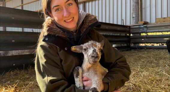 Agriculture student holding a lamb