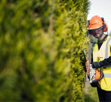 Boy cutting hedge