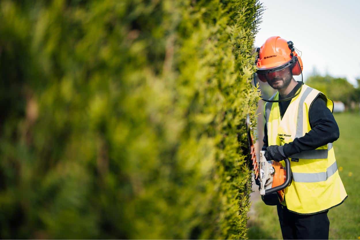 Boy cutting hedge